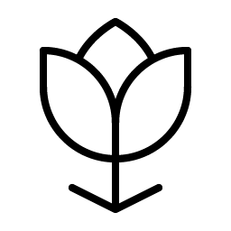 flower-tulip-thin